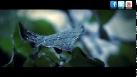 مامؤستا هاورئ (( به شى يه كه م له ته فسيرى سورة ( ق )