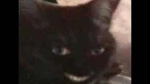 My intro! -•Read Description Please•-