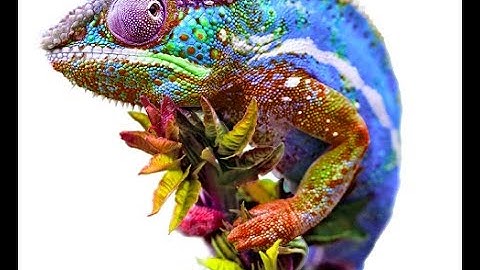 Interactive animation with simultaneous use of 5 CSS filters [JavaScript, GSAP, CSS]