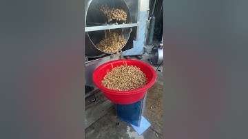 (TRỰC TIẾP) - MÁY RỬA CỦ ĐẬU PHỘNG, CỦ LẠC - MÁY RỬA NÔNG SẢN DẠNG LỒNG QUAY - GIÁ RẺ TẠI XƯỞNG