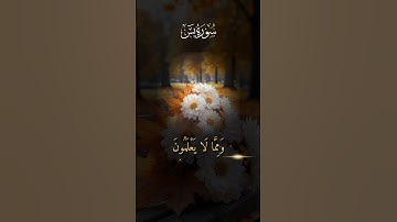 آيات من الذكر الحكيم