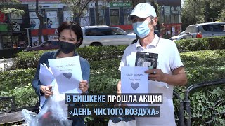 В Бишкеке прошел «День чистого воздуха»