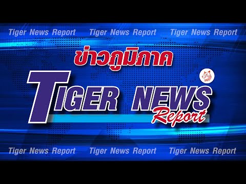 Tiger News TV ข่าวภูมิภาค 5 สิงหาคม 65