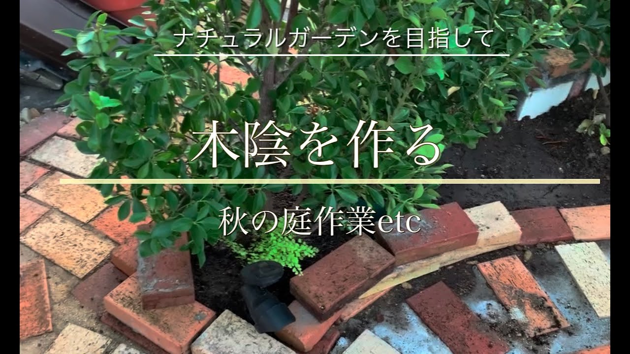 庭木木陰を作る | 日陰の作り方 木漏れ – ZOEY