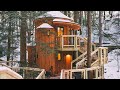 Tiny BNB: Ultimate Treetop Getaways