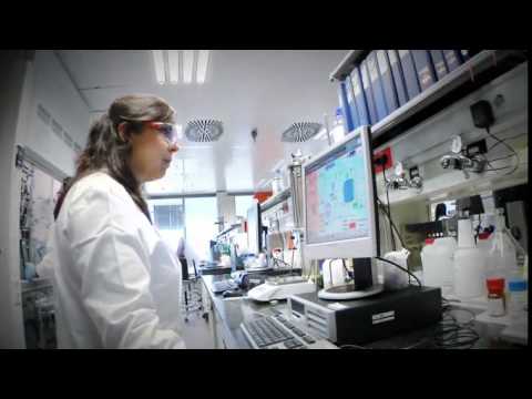 Repsol Technology Lab: Polioles