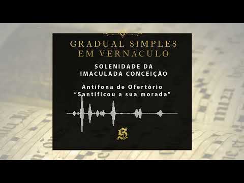 Solenidade da Imaculada Conceição de N. S. - Canto do Ofertório: Santificou à sua morada
