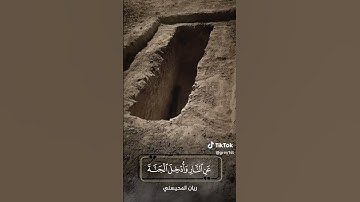 ريان المحيسني - سورة ال عمران