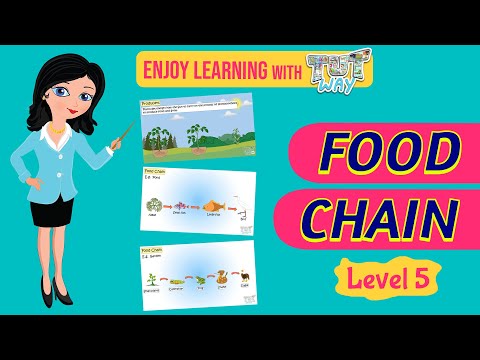Food Chain For Kids | Science | Grade 4 & 5 | TutWay