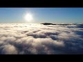 Квітка