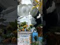 Đừng Hẹn Kiếp Sau, Quan Âm Bồ Tát,,,