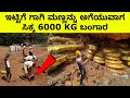 Amazing treasures found by accident in kannada