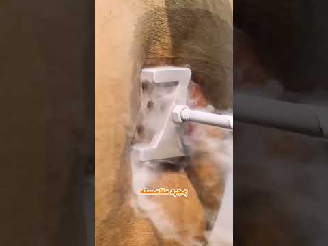 بدون ألم كيف ت عل م الحيوانات بالنيتروجين السائل