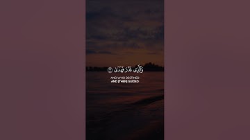 سورة الاعلى عبدالرحمن مسعد
