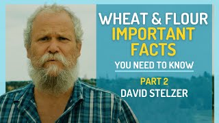 Wheat & Flour - Important Facts You Need to Know: A Masterclass with David Stelzer (Part 2 of 2)