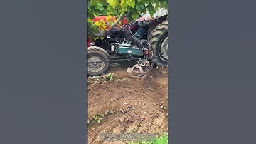 Weed Removal in the Vineyard Using a Tractor #farm
