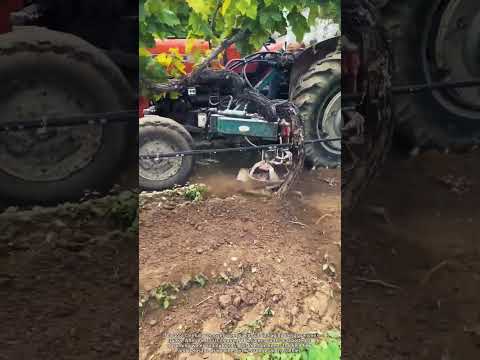 Weed Removal in