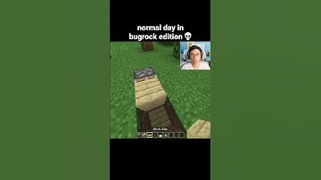 Minecraft Bugrock Moment