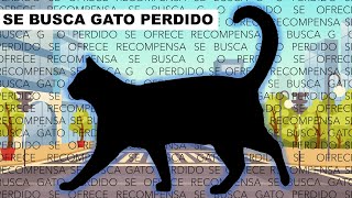 Consejos para ENCONTRAR a un GATO PERDIDO