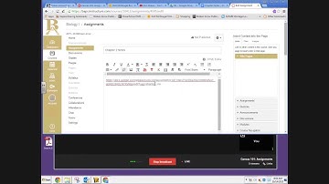 Canvas 101: Assignments