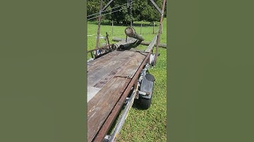 log arch the first test