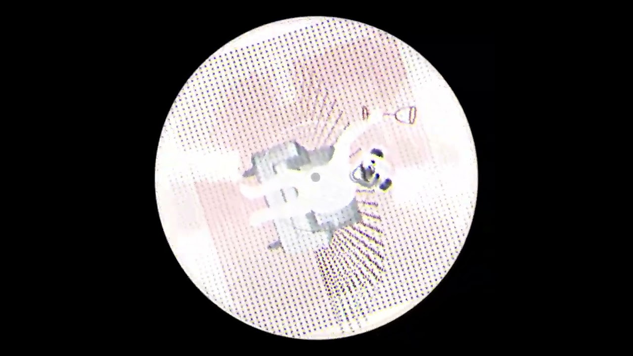 "Particle Zoo" by Richard the Third