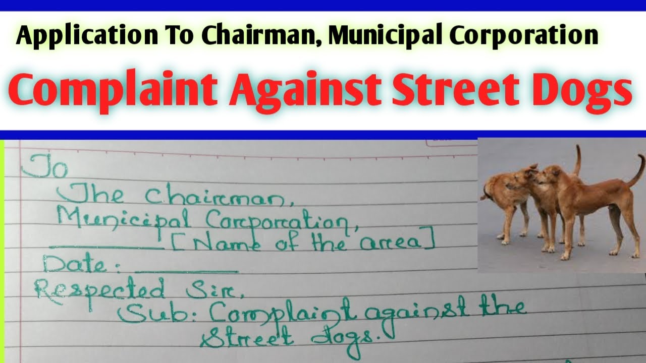 Application To Chairman Of Municipality Complaint Letter Against Application To Chairman Of Municipality Complaint Letter Against