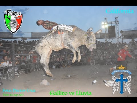 RETO RETO GALLITO DE MORELIA VS LLUVIA DE ESTRELLAS EN CALIFORNIA 2017