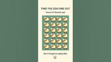 🐑 Find the Odd Sheep Out! 🐏