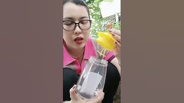 vlog 94 cách trị ruồi vàng trên cây táo hiệu quả nhất... #shorts #hanhbeauty