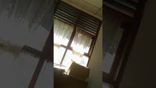 Kekasihku pergi