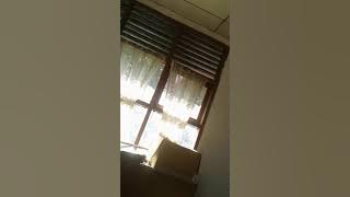 Kekasihku pergi
