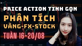 ✅ Phân Tích VÀNG-FOREX-STOCK Tuần 16-20/08 Theo Phương Pháp Price Action Tinh Gọn | TraderViet