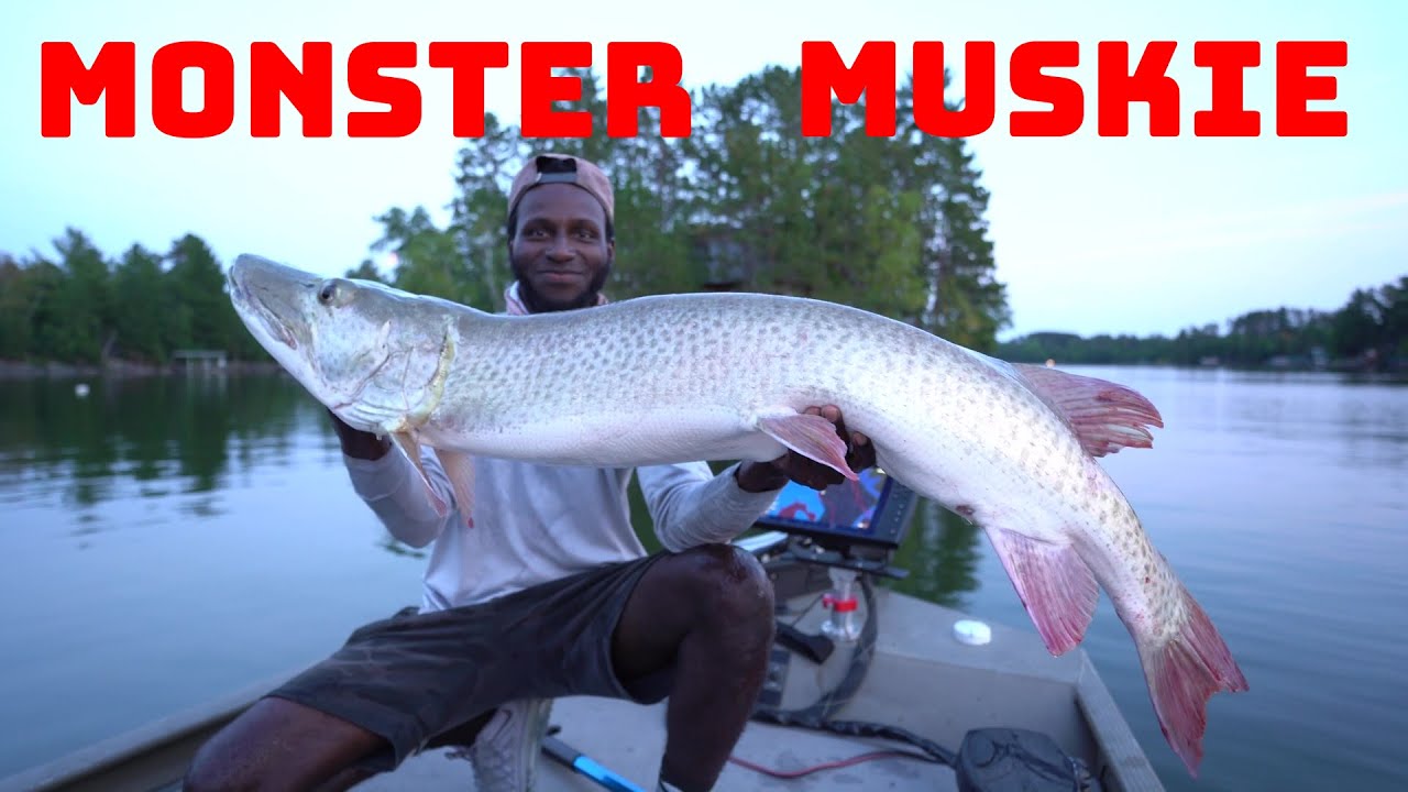 Catching The Muskie Of A Lifetime On Lake Vermillion With A Crazy