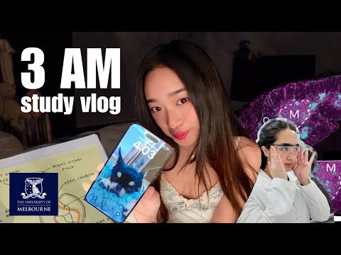 3AM STUDY VLOG: