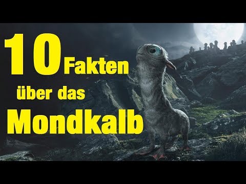 Video: Was bedeutet Mondkalb?