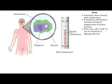 Video: Prevenirea inflamației și a febrei