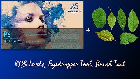 A Comprehensive Guide to Finding the Chlorophyll Level in a leaf.