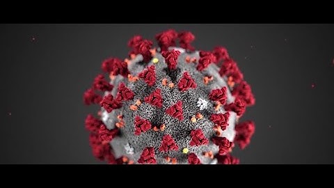 Contamination at CDC likely cause of test delays