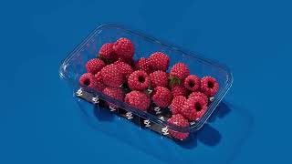 Revolutionising Fresh Produce: Discover the RYPEN Pad