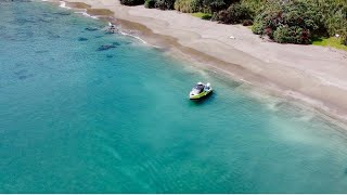 Yellowtail Kingfish Spearfishing meat run | Exploring deserted beaches | Living from the Ocean NZ