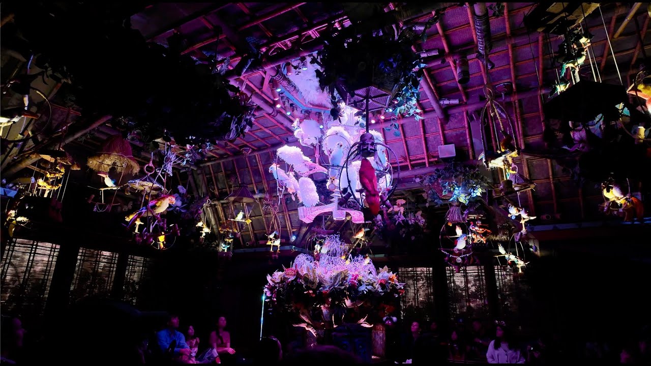 Enchanted Tiki Room | The Whole Show!  Disneyland!