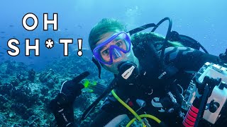 REMOTE and EXTREME current diving! Wolf Island, Galapagos! [Part 5]