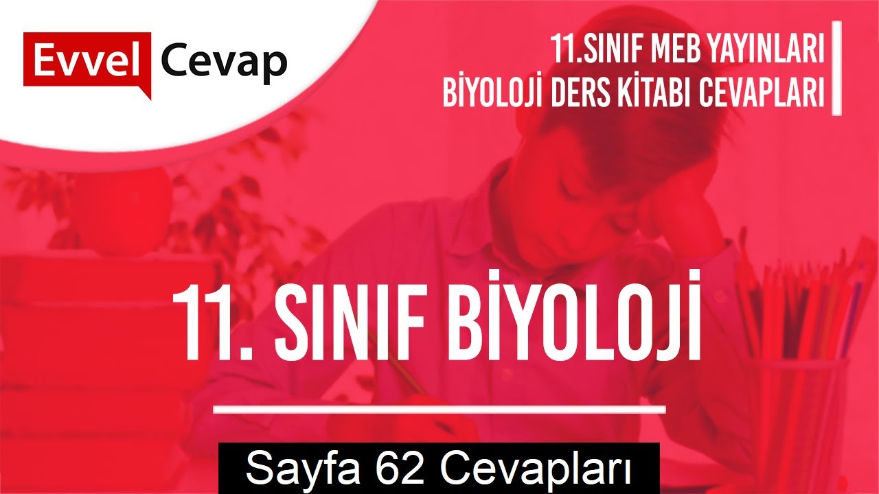11. Sınıf Biyoloji Meb Yayınları Ders Kitabı Cevapları Sayfa 62 - YouTube