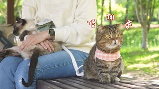 LuLu Has Accepted General As His Boss! (ENG SUB)