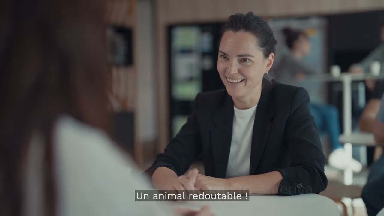 Bande démo 2026