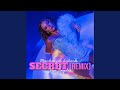 Secret Van Snyder Remix Radio Edit