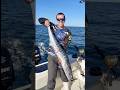 Foul Hooked Wahoo! #wahoo #offshorefishing #highspeedtrolling
