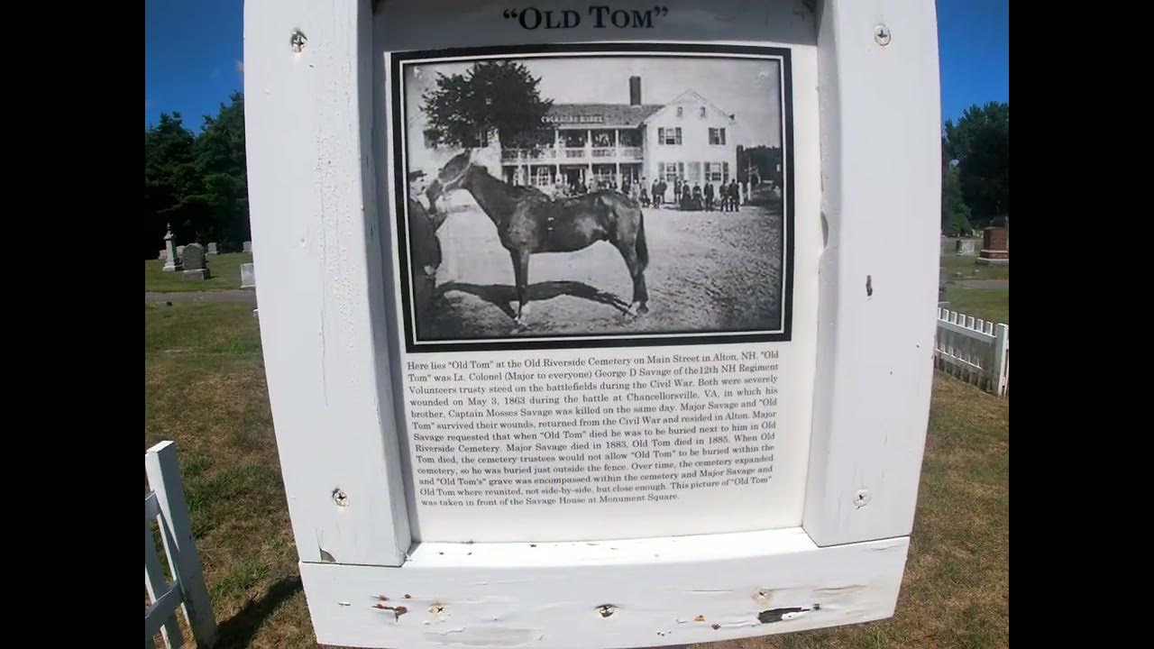 alton nh corporal savage civil war buried near his horse also wounded
