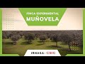 FINCA EXPERIMENTAL MUÑOVELA | IRNASA - CSIC